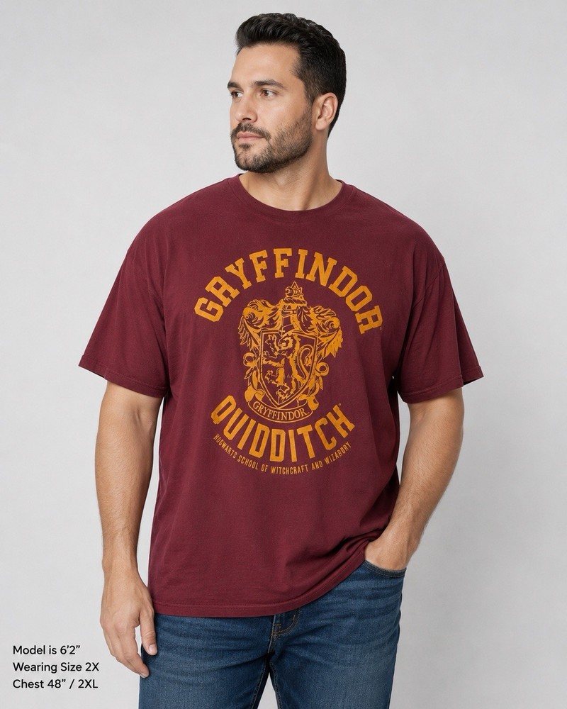 Harry Potter Gryffindor Quidditch T-Shirt Mens Size XXL, 2XL Burgundy Hogwarts