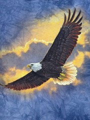 The Mountain Collin Bogle Bald Eagle Sunset Clouds Tie Dye Shirt XL 2015 Nature