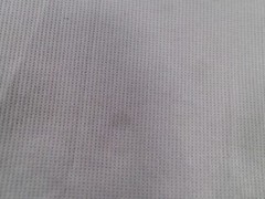 Animal Shirt Men XXL Gray My Second Family Has Scales Lightweight Breathable