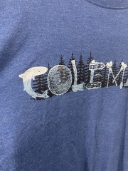 Coleman Outdoors TShirt Size L Blue Long Sleeve Cotton Poly Blend Preowned Good