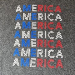 Patriotic America T Shirt Spell Out All Over XL XG TG Gray