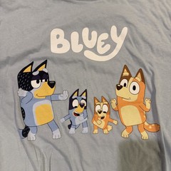 Old Navy BLUEY NWT Short Sleeve T Shirt Women Bingo Mum Dad Dog Adult XL