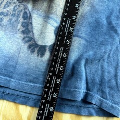 The Mountain Big Cats Graphic T-Shirt Blue Tie Dye Lion Tiger Leopard Mens M