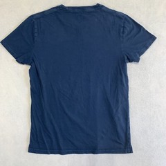 Hollister T Shirt Mens Small Blue Must Have Collection Logo 100% Cotton