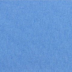 Hanes 5170 5XL EcoSmart Crewneck Short Sleeve Tee Pit to Pit 31″ Carolina Blue