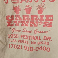 Virgil Normal T Shirt Mens Size XL Beige Plants Plants Plants Made In USA