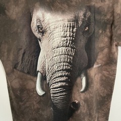 The Mountain Brown Elephant Print Tee, M