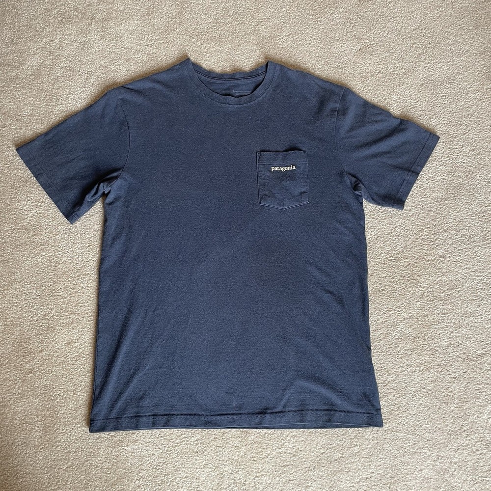 Patagonia Mens Blue Graphic T-Shirt Summer Casual Outdoors Tee | Size: M