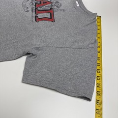 Sigma Alpha Pi National Society Of Leadership & Success Gray Shirt Men’s Sz 2XL