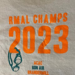 Gildan T-Shirt Mens L Richmond VA Metro Aquatic League Championship 2023 Blue