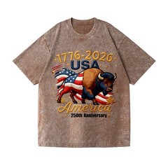 Patriotic 250th Anniversary Buffalo Washed T-Shirt – 1776-2026 USA Tee