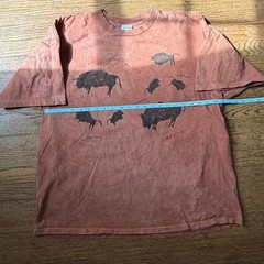 Vtg Andrea Bragg Designs 90’s Distressed Buffalo Graphic Tee Size XXL