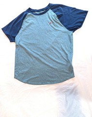 Hollister Tee T-shirt Mens Sz M Medium Blue / Green Heather Short Sleeve Y2K