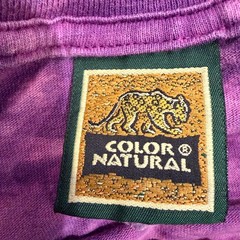 Color Natural Costa Rica Iguana Tie Dye T-Shirt Mens XL Purple Green Graphic