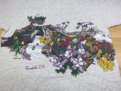 Vintage Ferndale California Nature Shirt XL Gray Double Sided 90s 12372