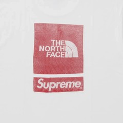Supreme The North Face S/S Top White SS24
