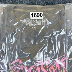 Aerosmith Get Your Wings US Tour ’74 T Shirt Mens XL Gray Graphic Print Cotton