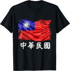 Taiwan Flag Republic of China ROC Flag Shirt T-Shirt T-Shirt