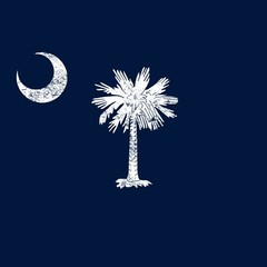 South Carolina State Flag – Hometown Pride Souvenir Basic Cotton T-Shirt – Navy
