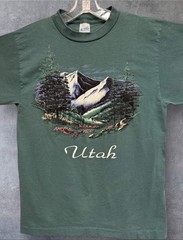 Vintage 80’s Utah Nature / Art Tee Single Stitch T Shirt Medium 19”x26.5”
