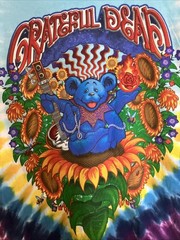 Liquid Blue Y2K Grateful Dead Inspiration Tie Dye T shirt Bears Medium 2006