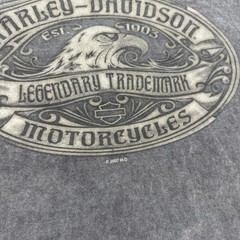 Harley-Davidson Shirt Mens Large Gray Eagle Legendary Trademark Biker 2007 Tee
