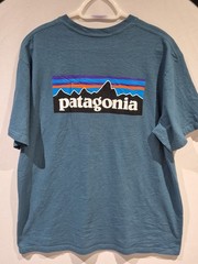 MENS PATAGONIA RESPONSIBILI-TEE SIZE LARGE