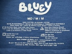 Bluey Family Group Children’s Learning Series Graphic T-Shirt Cartoon Blue M