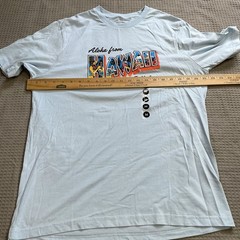 Billabong Tee Shirt Medium Adult Unisex Men’s Aloha Hawaii NWOT Blue