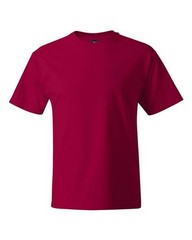 Hanes Beefy-T Tall T-Shirt 518T