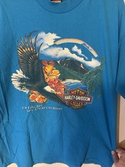 Vintage Harley-Davidson Shirt Mens XL Blue Hawaii Pacific Eagle Paradise 90s USA