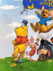 Disney Winie the Pooh Springtiem With Roo Promo T-Shirt Y2K Size L