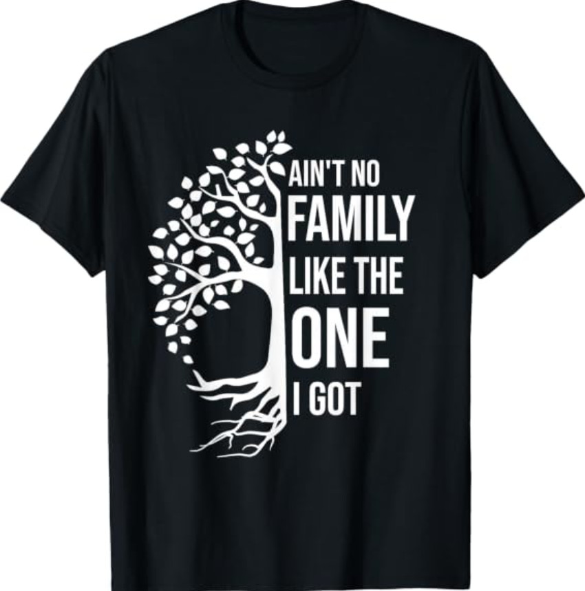 Ain’t No Family Like The One I Got Funny Family Reunion T-Shirt Tee