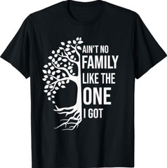 Ain’t No Family Like The One I Got Funny Family Reunion T-Shirt Tee