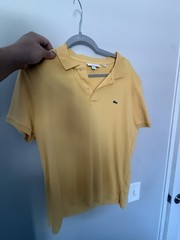 lacoste t shirt men large 15 $ Each