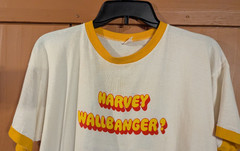 Vintage 70s Champion T Shirt Galliano Harvey Wallbanger Single Stitch Ringer Tee