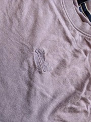 Superdry Lavender Embroidered Logo Tee