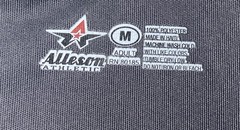 Alleson Athletic T-shirt with a “GPSA Lions” graphic print Sz L