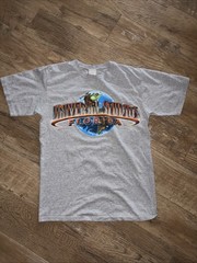 Universal Studios Florida Globe T-Shirt Gray Size M, excellent cond’n