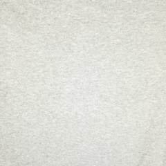Gildan Mens T Shirt Short Sleeve Mouse Dad Script Work Weekend Casual Fun