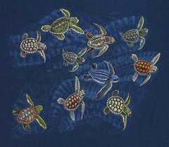 RACE FOR SURVIVAL-Sea Turtles Marine Ocean Aquatic Science Nature T shirt S, 3XL
