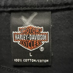 Vintage Harley Davidson Chicago Home of the Blues T Shirt Holoubek Large USA
