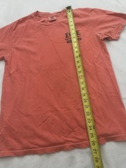 Comfort Colors Men’s T Shirt Sprig Rush Sigma Phi Epsilon 2022 Size M