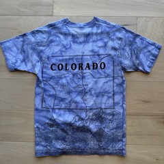 Vintage Colorado Shirt Large Multicolor 90s All Over Print Nature Art Eagle