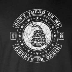 Don’t Tread On Me LIBERTY or DEATH Rattlesnake 2-Sided T-Shirt 2nd Amendment USA