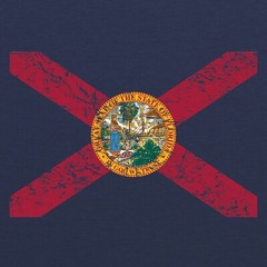 Florida Flag State Pride Hometown Triblend Mens T-Shirt – Vintage Navy