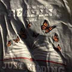 Gray womens Graphic T-Shirt ‘A Day Without Reading’ Book Butterfly Print