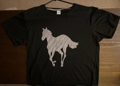 Deftones White Pony Black T- Shirt Size Large Never Worn “ Just The Pony”