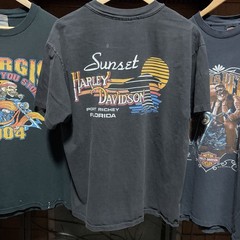 Vintage 90s Harley Davidson Sun Faded Single Stitch T Shirt Looney Tunes Taz XL