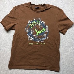 Coney Island Picnic T Shirt SIZE SMALL Dead Jazz In The Park Brown